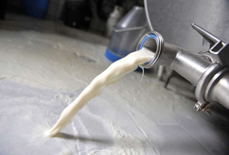 Lubrizol. 450 000 litres de lait jetés : les agriculteurs inquiets pour leur production