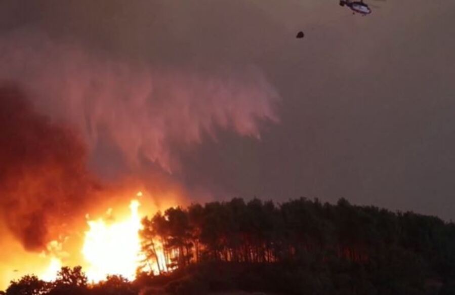 81 000 hectares brulés, 20 morts : la Grèce frappée par le pire incendie jamais enregistré en Europe
