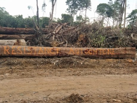 Guyane : les Amérindiens en lutte contre la spoliation de leurs terres par un projet de centrale électrique