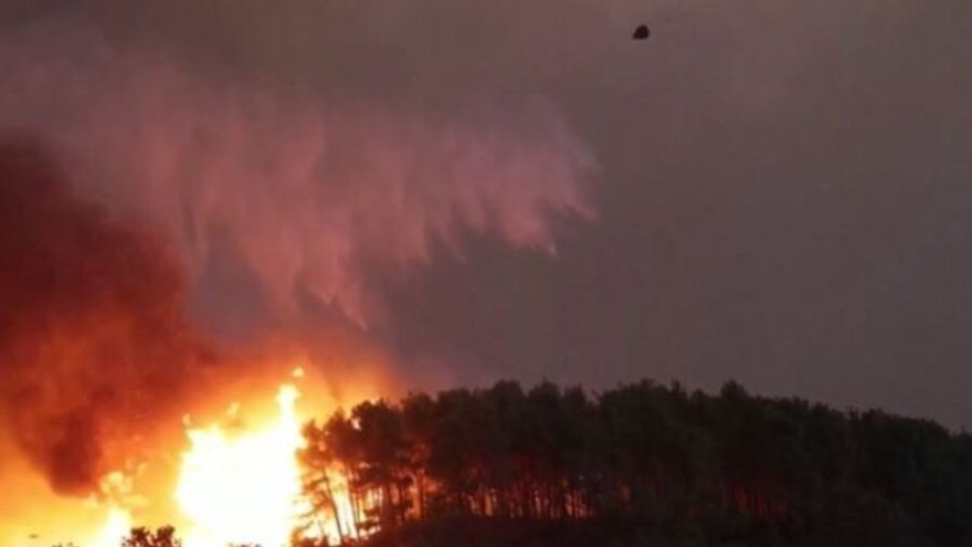 81 000 hectares brulés, 20 morts : la Grèce frappée par le pire incendie jamais enregistré en Europe